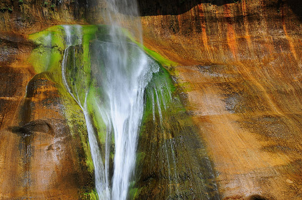 DSC_2253.jpg (4288x2848) NIKON D300 - 18-200mm f/3.5-5.6 // F25 // 0.05 sec // ISO 200 // 34,0 mm // no Flash // 2008:07:14 10:31:40 DSC_2253.jpg (4288x2848) NIKON D300 - 18-200mm f/3.5-5.6 // F25 // 0.05 sec // ISO 200 // 34,0 mm // no Flash // 2008:07:14 10:31:40